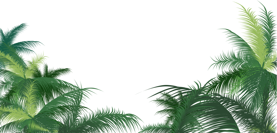 Palm Trees Background